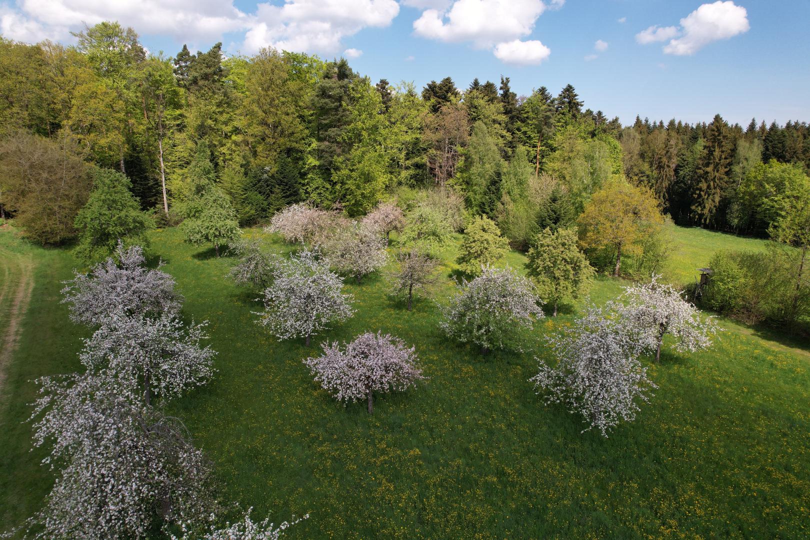 Eckerle Michael Drohnenaufnahme1 Beinberg